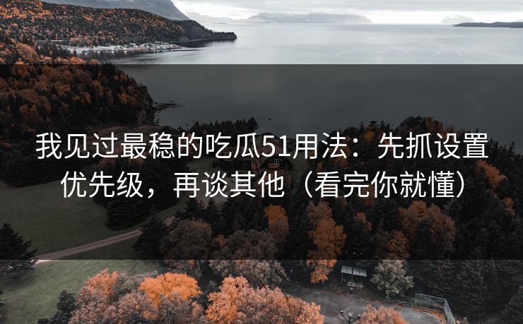 我见过最稳的吃瓜51用法：先抓设置优先级，再谈其他（看完你就懂）