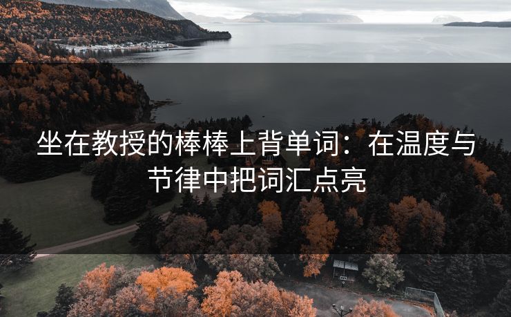 坐在教授的棒棒上背单词：在温度与节律中把词汇点亮