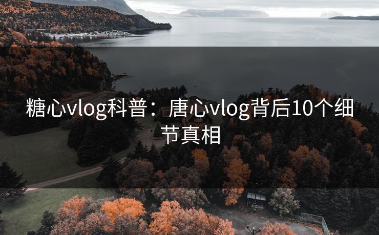 糖心vlog科普：唐心vlog背后10个细节真相