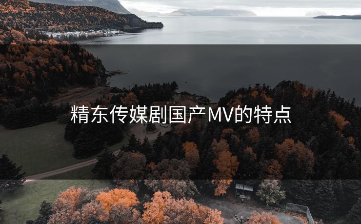 精东传媒剧国产MV的特点