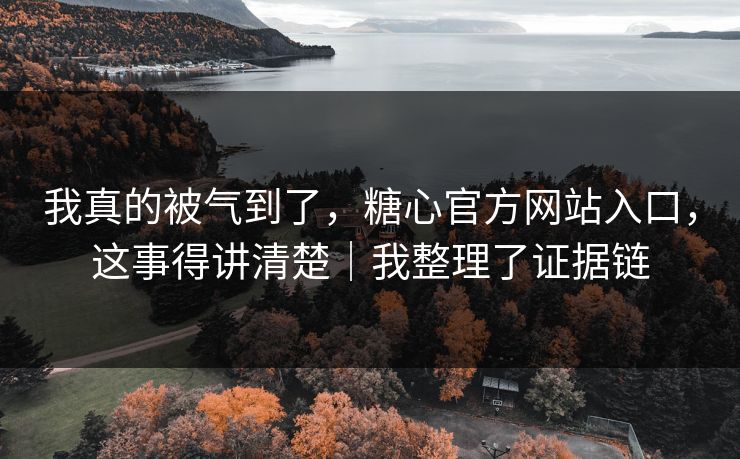 我真的被气到了，糖心官方网站入口，这事得讲清楚｜我整理了证据链