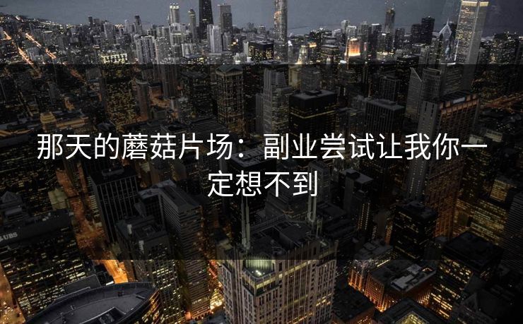 那天的蘑菇片场：副业尝试让我你一定想不到